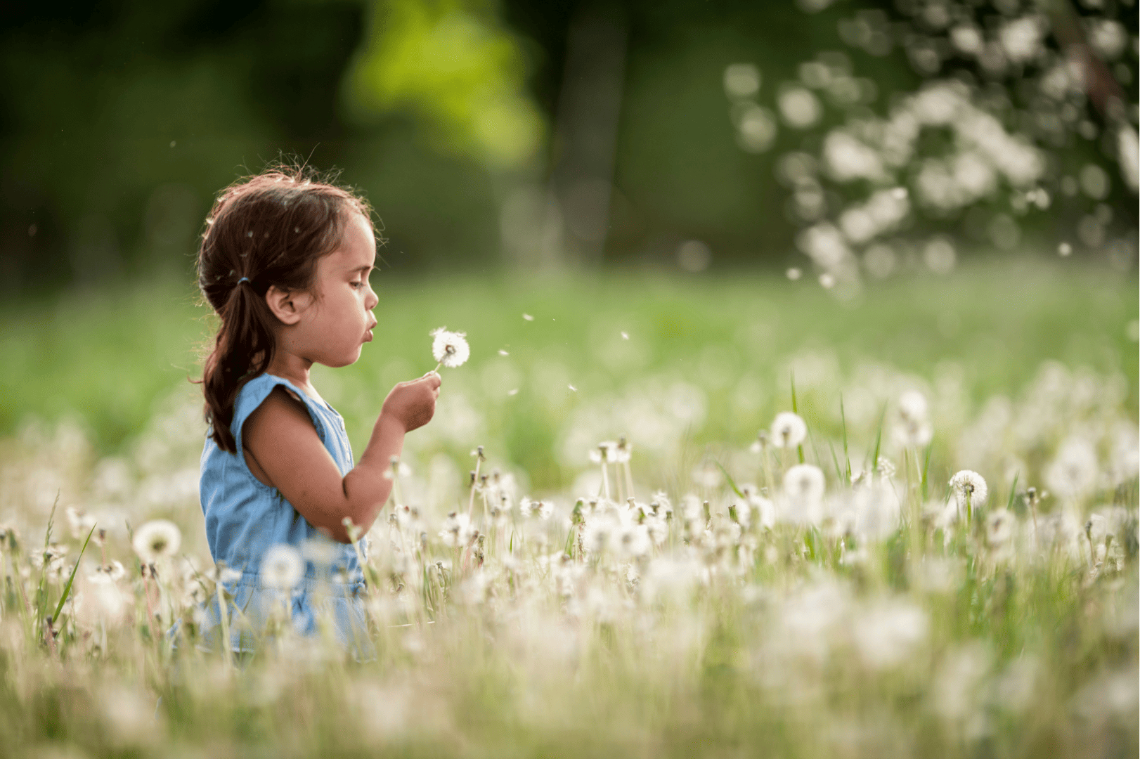 Momento de acolhimento e leveza
